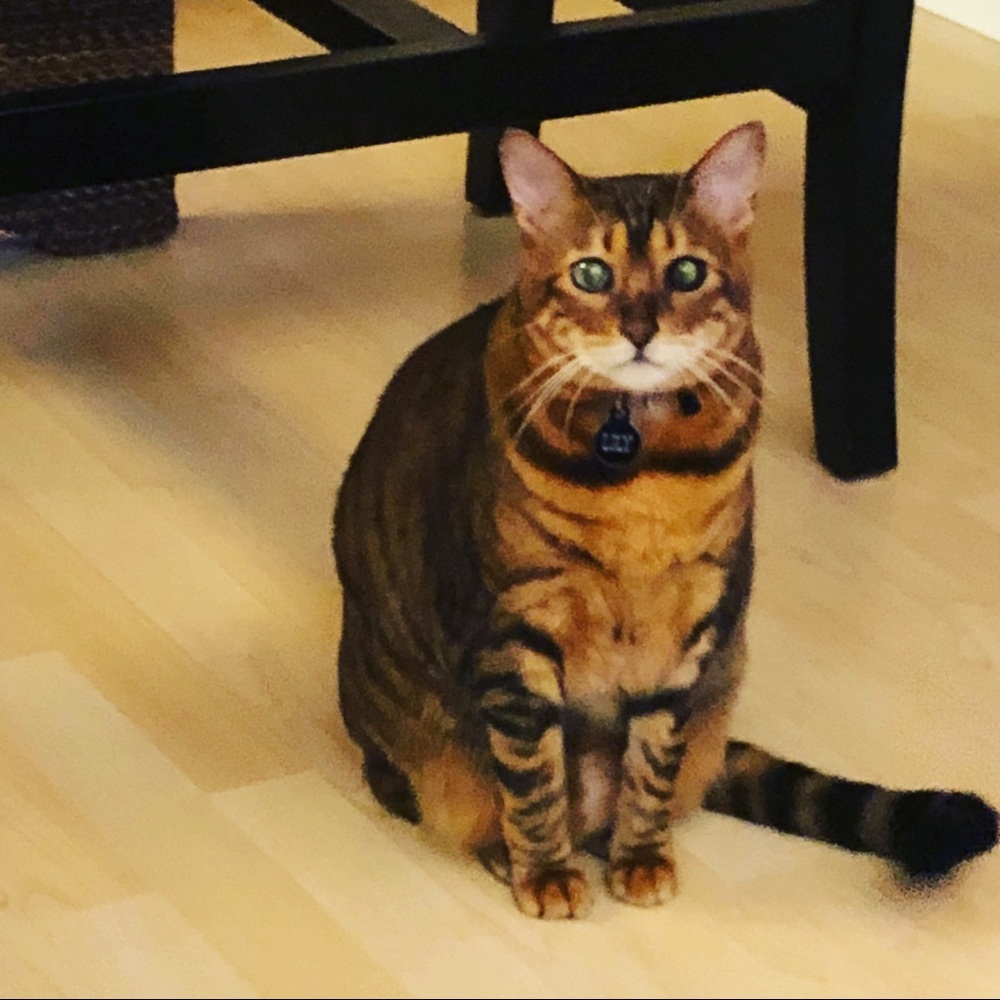 Meet your Posher, Lindsay